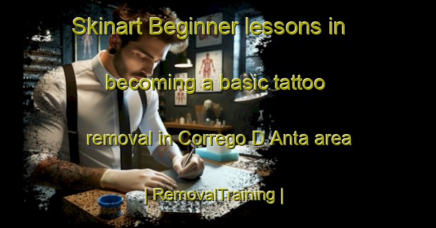 Skinart Beginner lessons in becoming a basic tattoo removal in Corrego D Anta area | RemovalTraining | RemovalClasses | SkinartTraining-Brazil